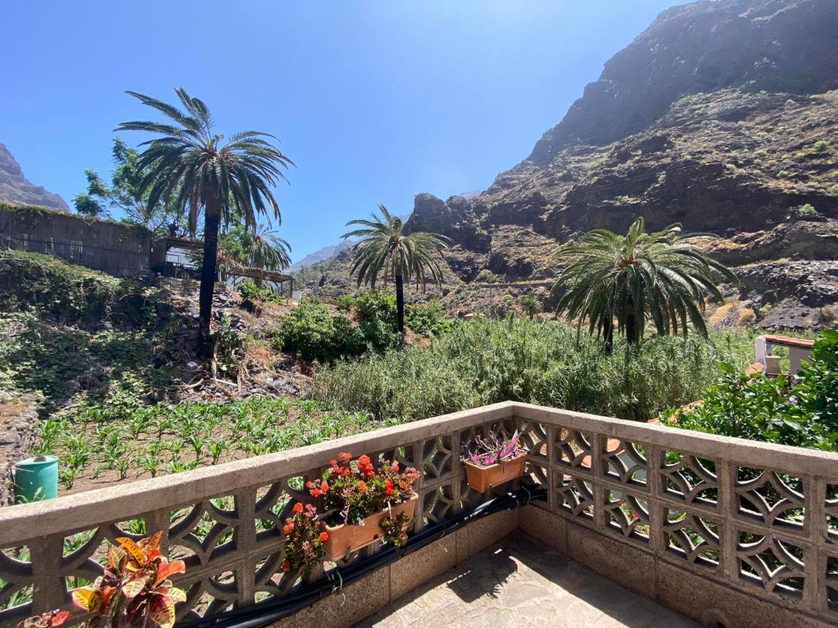 Apartamento Nelly A4 Valle Gran Rey Dış mekan fotoğraf