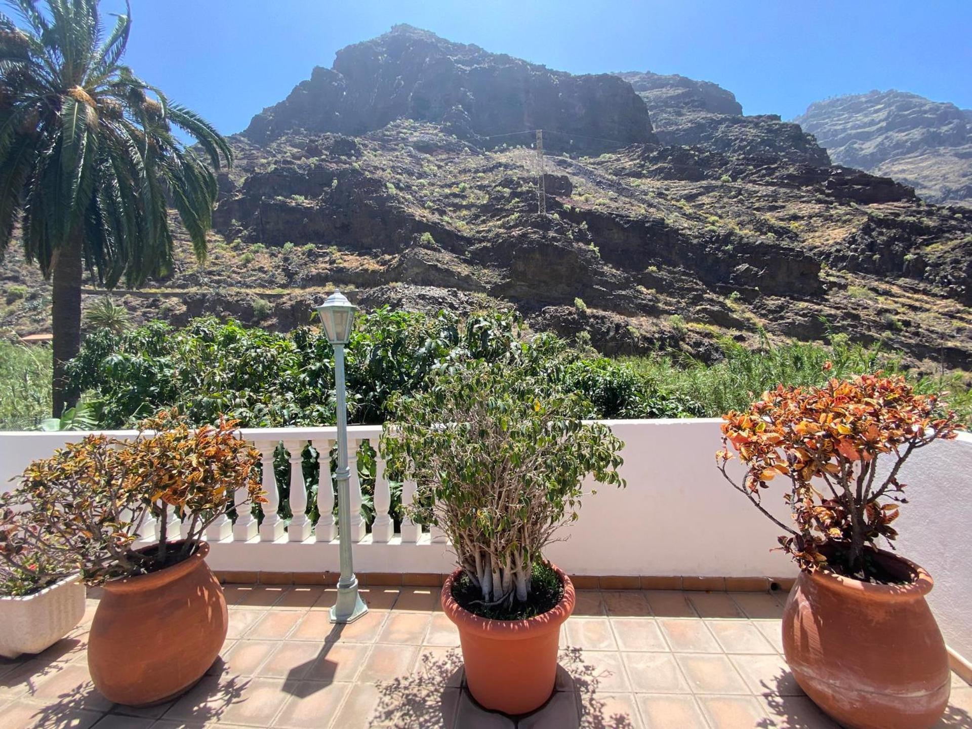 Apartamento Nelly A4 Valle Gran Rey Dış mekan fotoğraf
